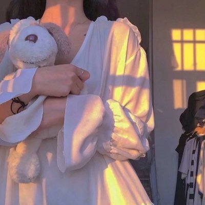 秋田犬蓬夫